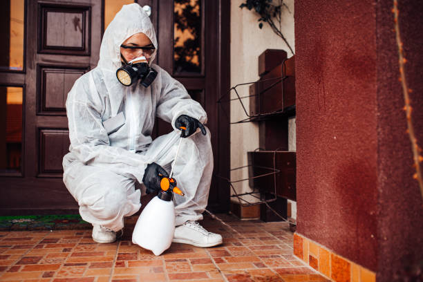 Reliable Wasp Removal contractor in Portage, WI by Show Me Pest Control